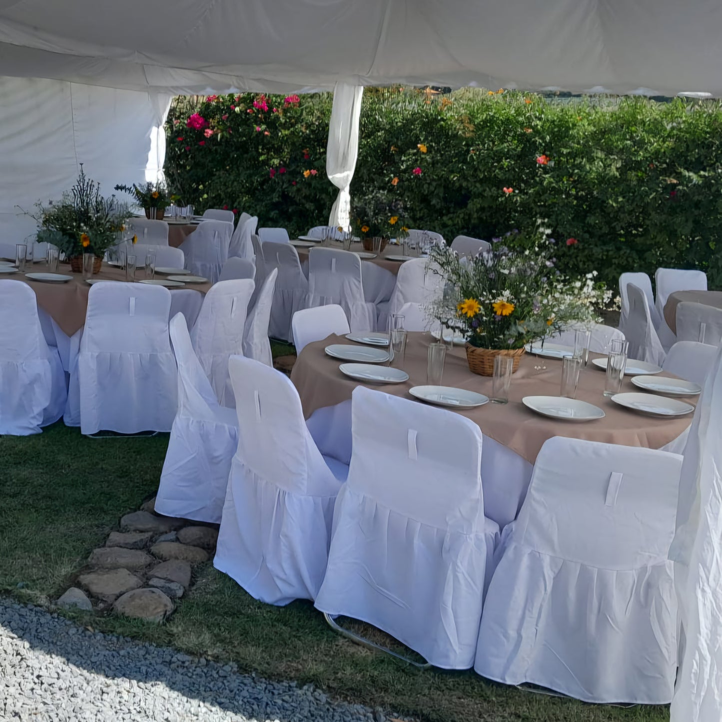 Elegante circular
