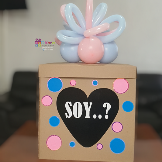 Caja Revelación